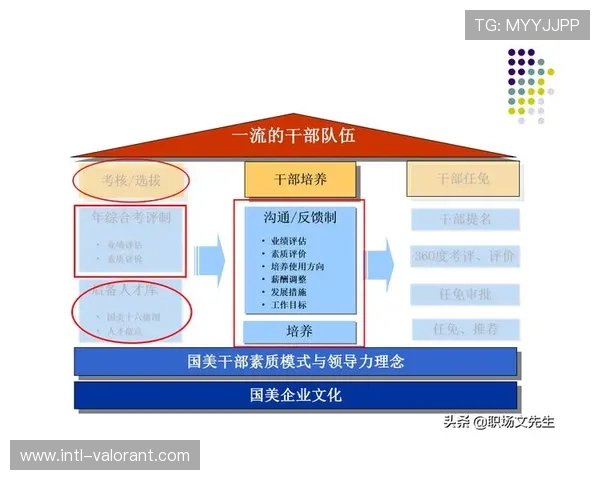 球队梯队建设与选秀策略：推动长期发展规划与可持续竞争力提升