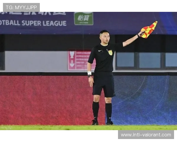 德足协裁判丑闻持续，涉黑案件人数增长